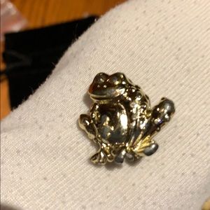 Frog 🐸 Brooch